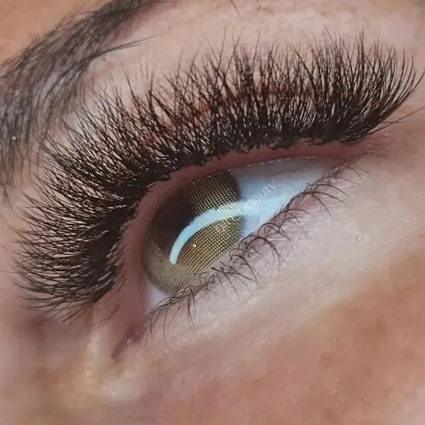 extension-cils (1)